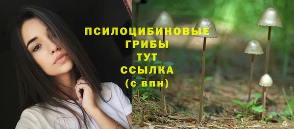 меф Заводоуковск